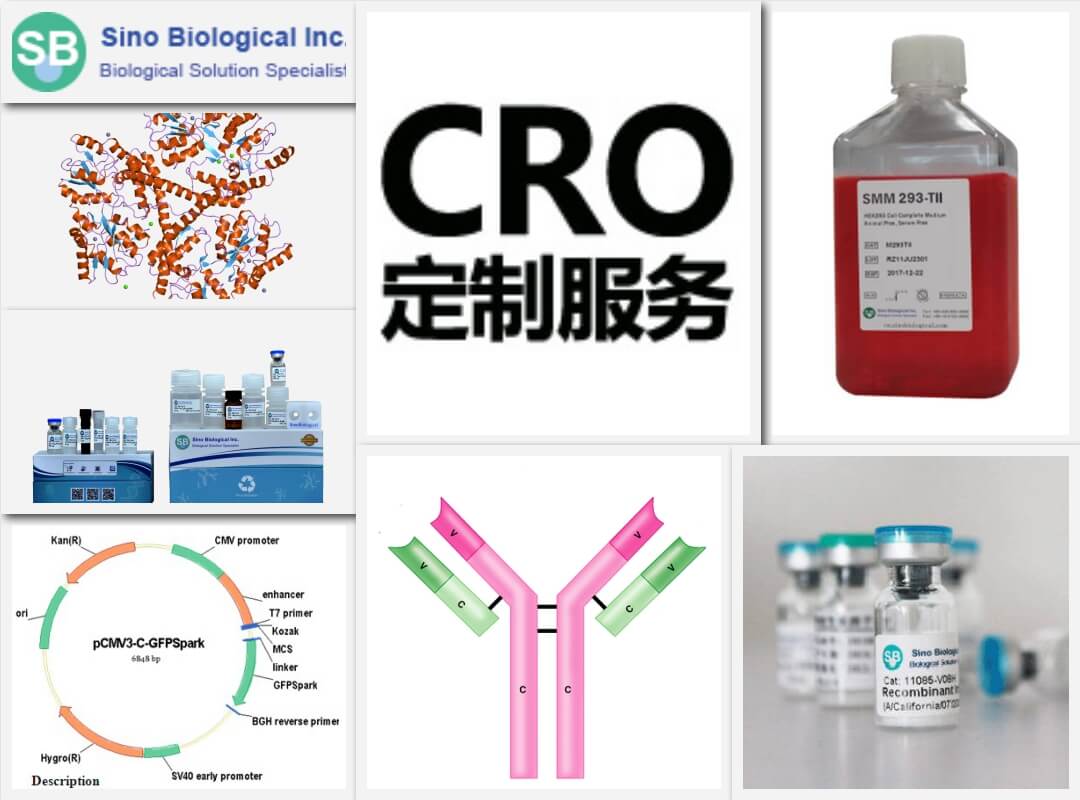 義翹神州北京一級(jí)代理商,銷售義翹神州重組蛋白、基因、培養(yǎng)基等