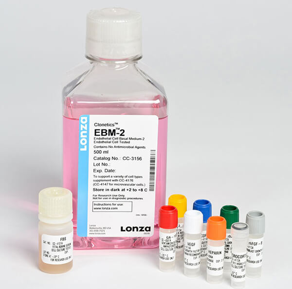 ԭĚo}(ni)Ƥ(x)B(yng) Human Umbilical Vein Endothelial Cells MediumLONZAԭ(x)Їһ