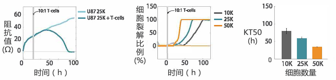 Axion Biosystems MAESTRO Z實(shí)時(shí)無(wú)標(biāo)記細(xì)胞分析儀