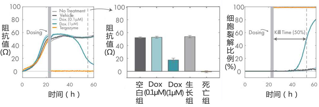 Axion Biosystems MAESTRO Z實(shí)時(shí)無(wú)標(biāo)記細(xì)胞分析儀