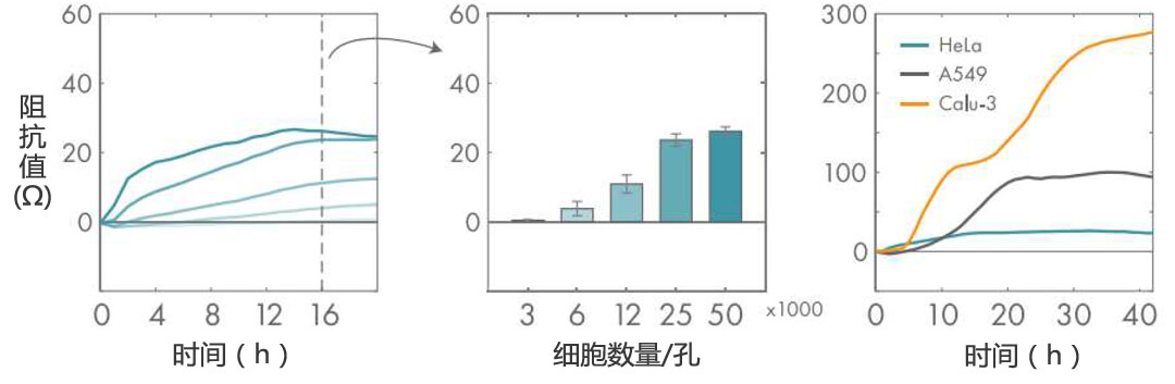 Axion Biosystems MAESTRO Z實(shí)時(shí)無(wú)標(biāo)記細(xì)胞分析儀