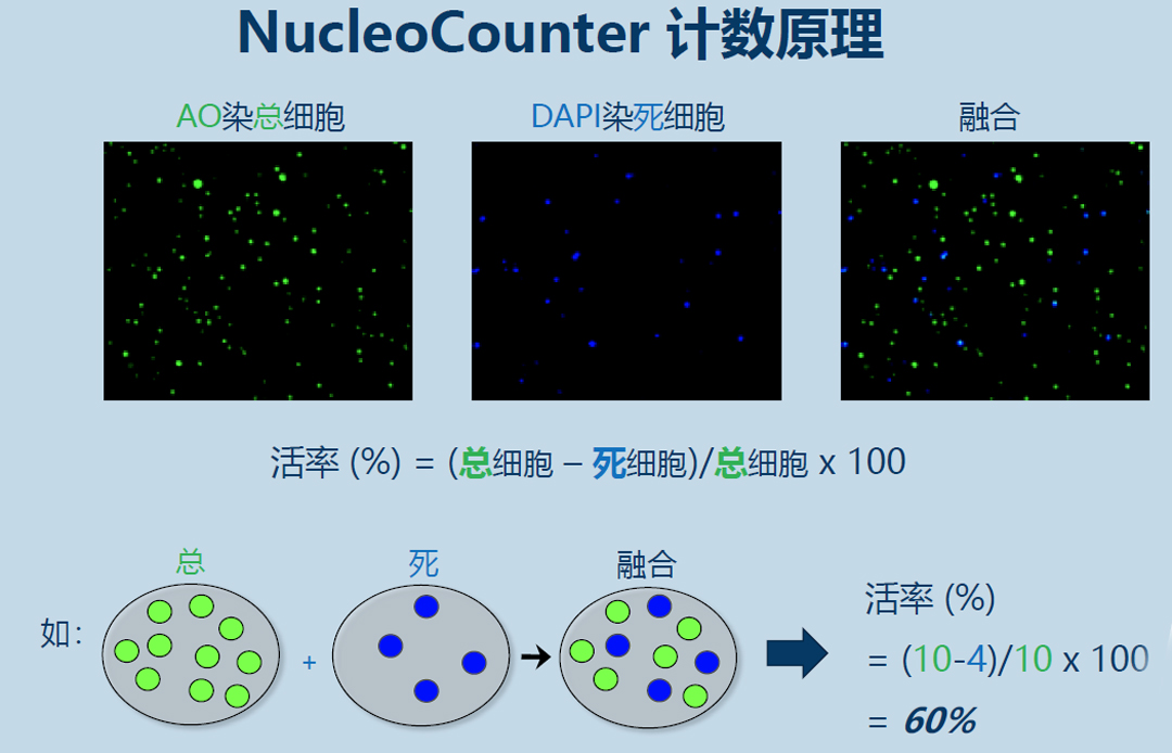 Chemometec NucleoCounter細(xì)胞計(jì)數(shù)儀