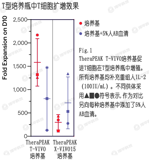 T-VIVO培養(yǎng)基在無血清條件下,提供更好的T細胞擴增效果 北京澤平