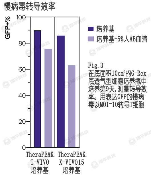 病毒轉(zhuǎn)導,T-VIVO培養(yǎng)基提供更高的T細胞轉(zhuǎn)染效率 北京澤平
