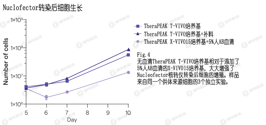 Nucleofecter電轉(zhuǎn)染,T-VIVO培養(yǎng)基提供更高的轉(zhuǎn)染后細胞增殖 北京澤平