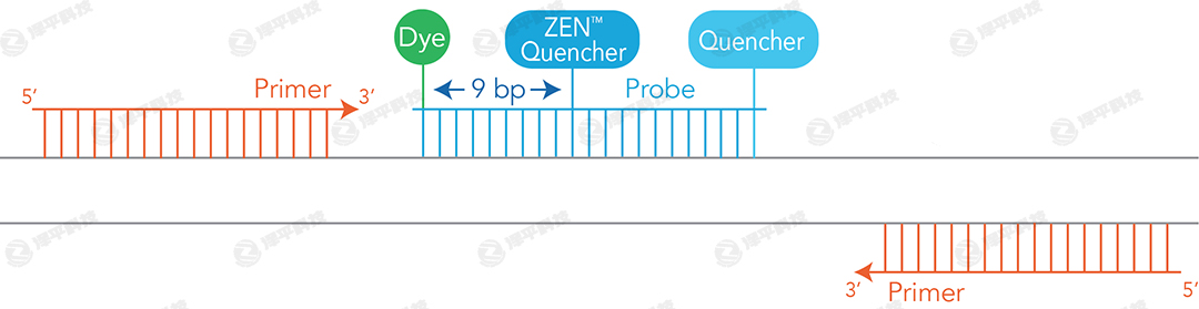 IDTrɹⶨPCR qPCR̽ᘺϳɷ(w)̱ƽ