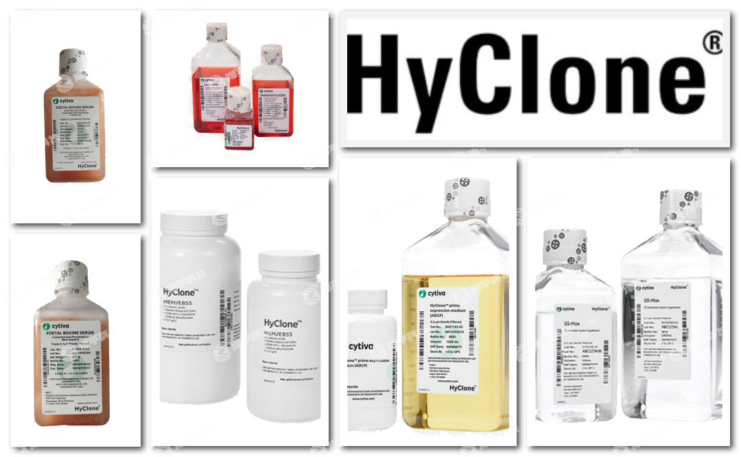 ¡Hyclone(x)B(yng)̥ţѪ̱ƽ
