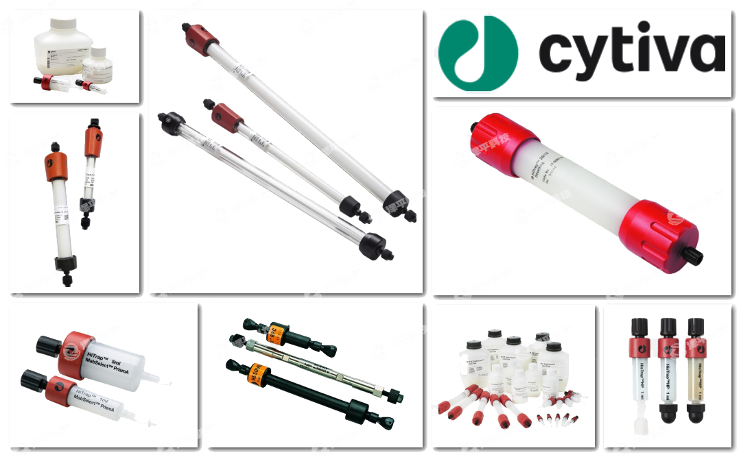 Cytivaϴ̱ƽ
