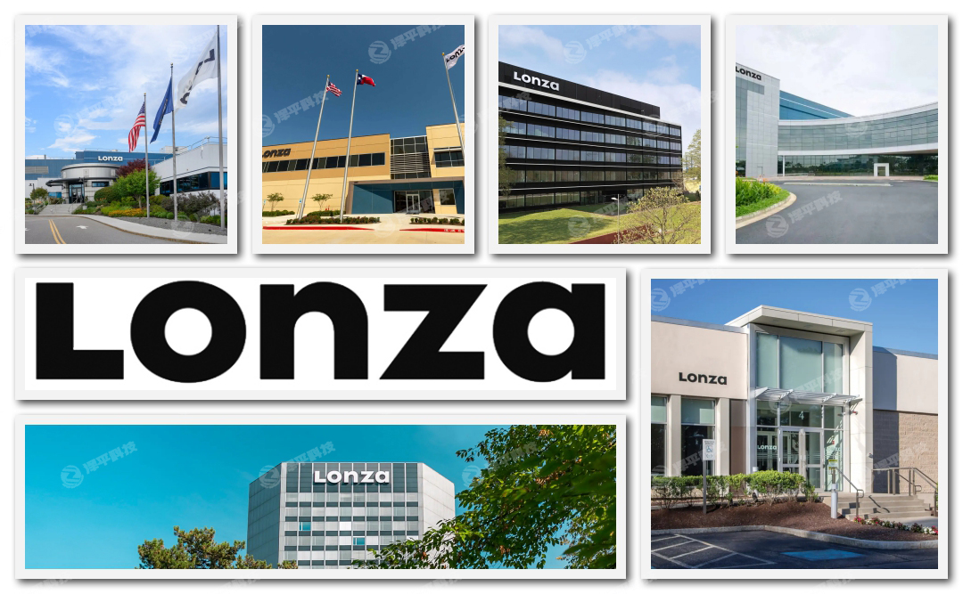 ɳLonzaٷڙ(qun)һ̱ƽ