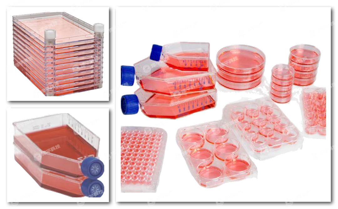 thermofisher Nunc(x)B(yng)EasYFlask͸w(x)B(yng)ƿʽ(x)B(yng)󡢼(x)S(x)B(yng)ܡ(x)εLabServB(yng)ƿ̱ƽ