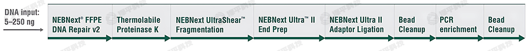 NEBNext UltraShear FFPE DNA ĎƂԇкƬλø(sh)(yn)̴̱ƽ